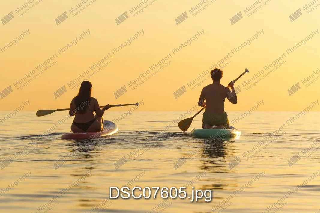 DSC07605.jpg