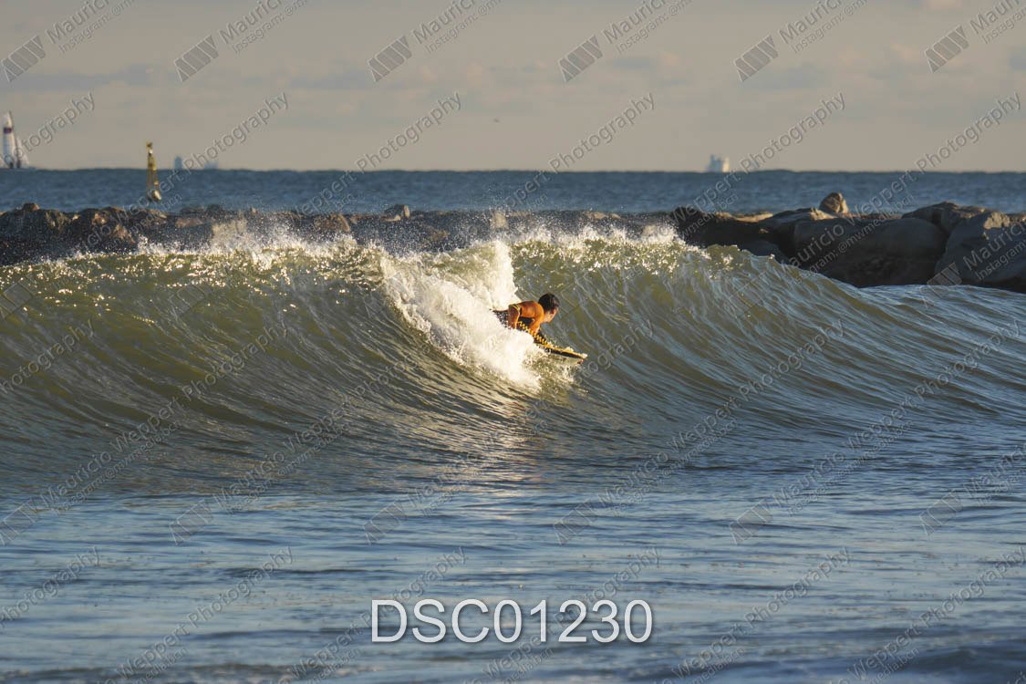 DSC01230.jpg