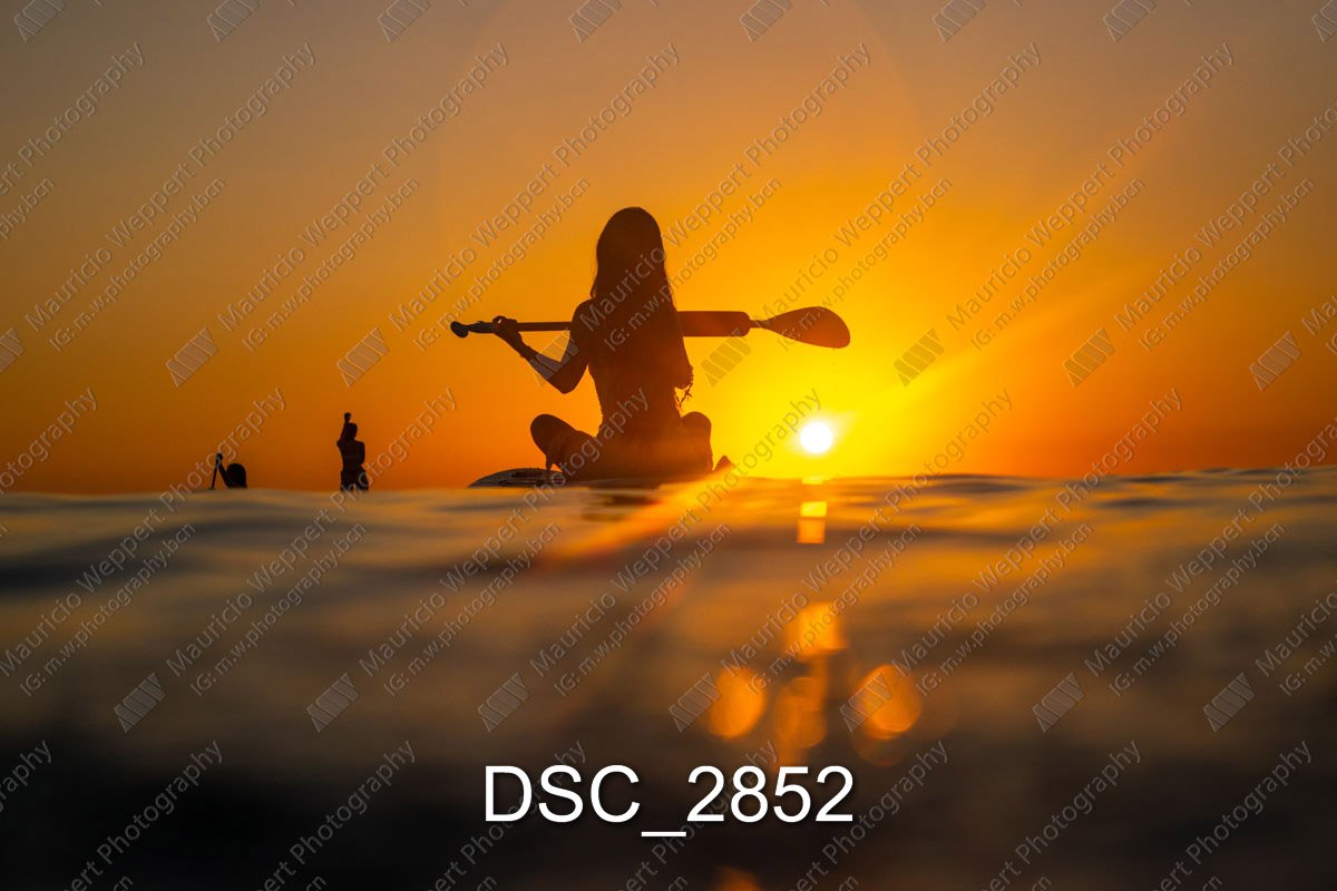 DSC_2852.jpg