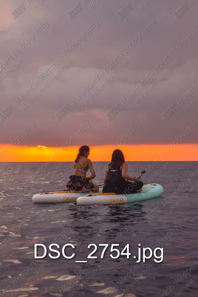 DSC_2754.jpg