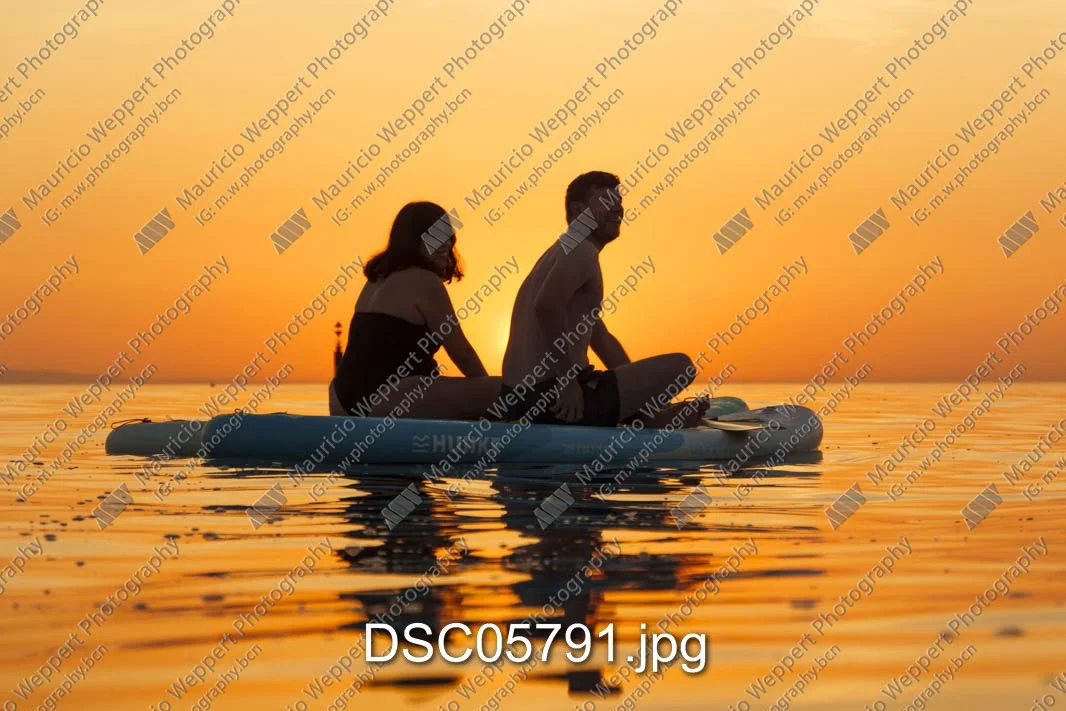 DSC05791.jpg