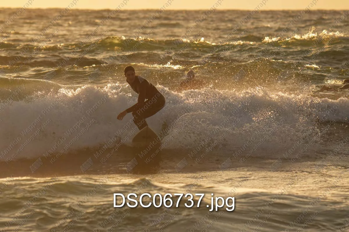 DSC06737.jpg