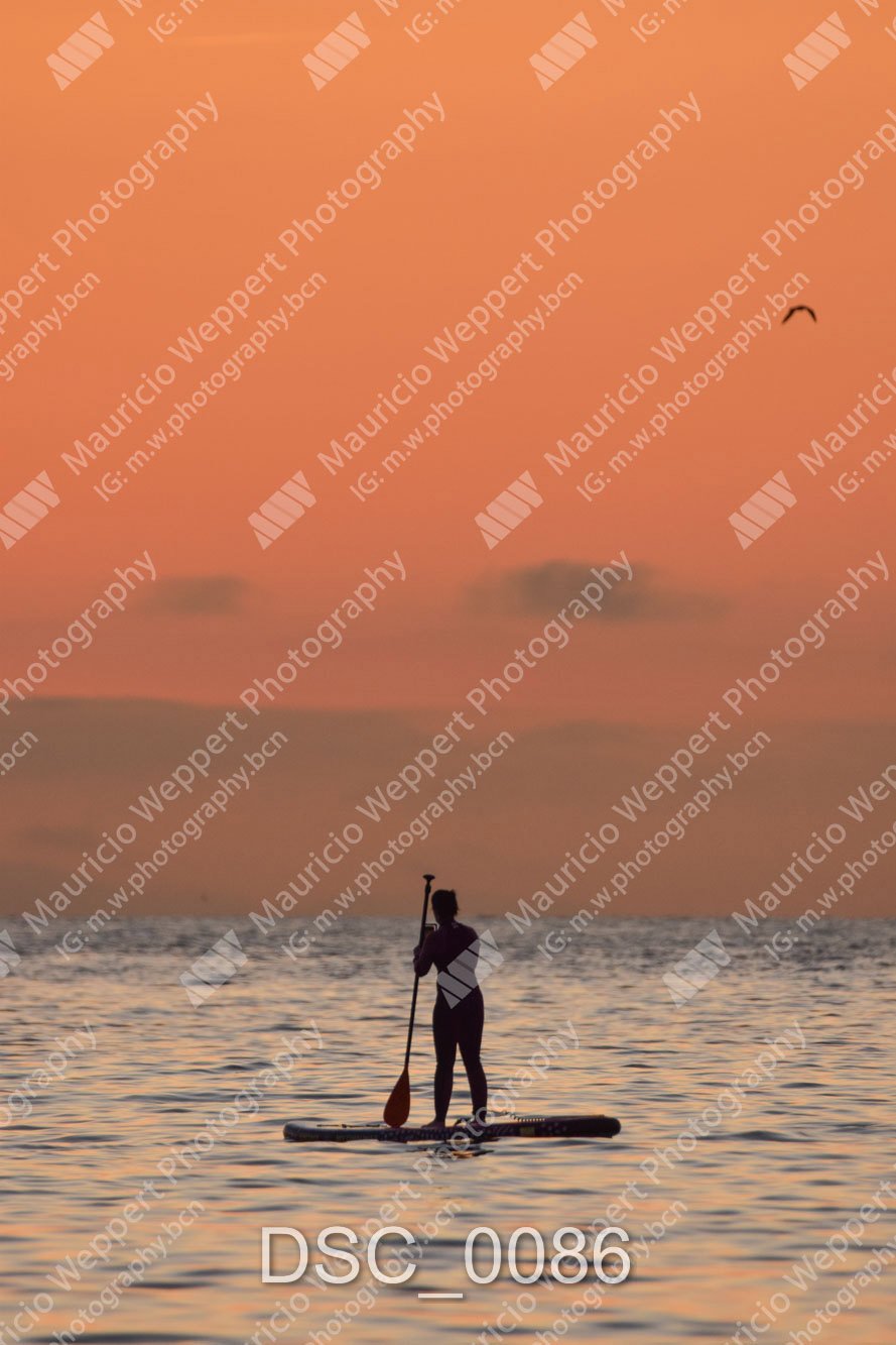 DSC_0086.jpg