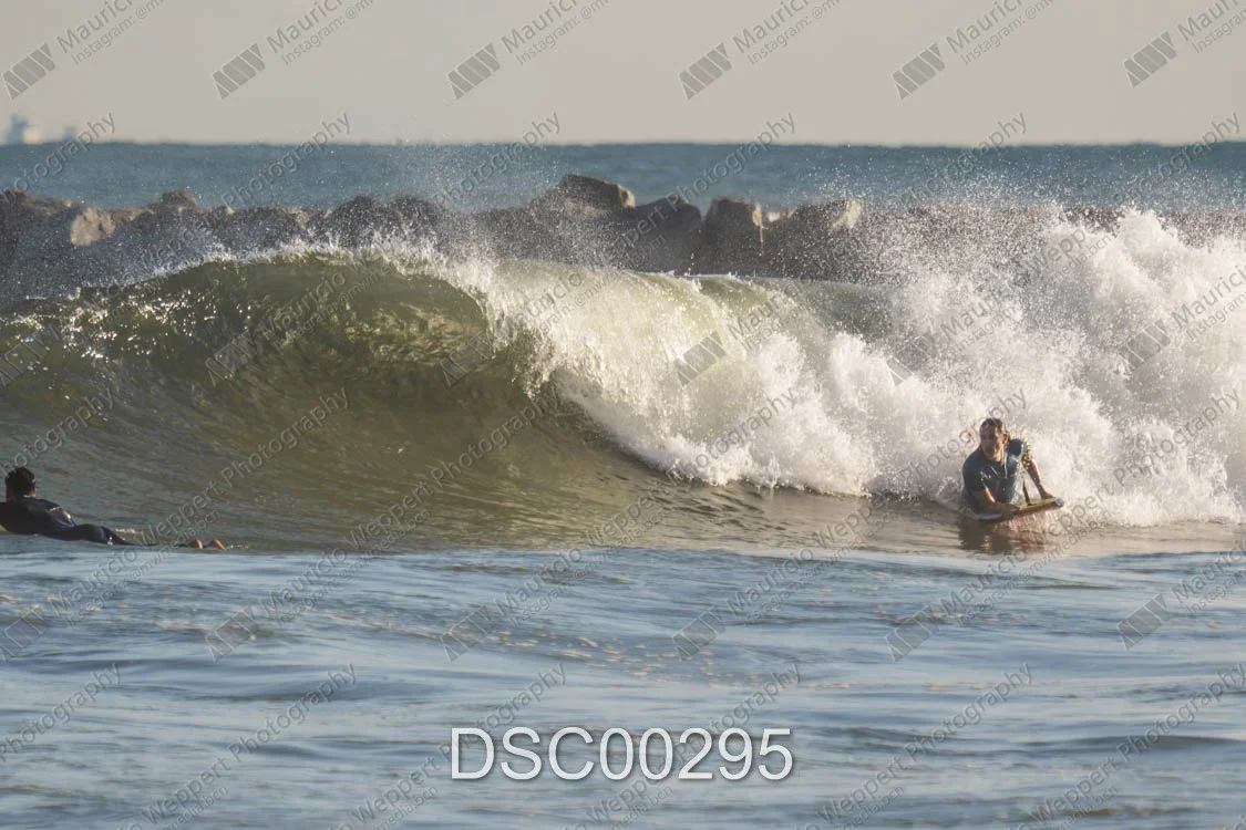 DSC00295.jpg