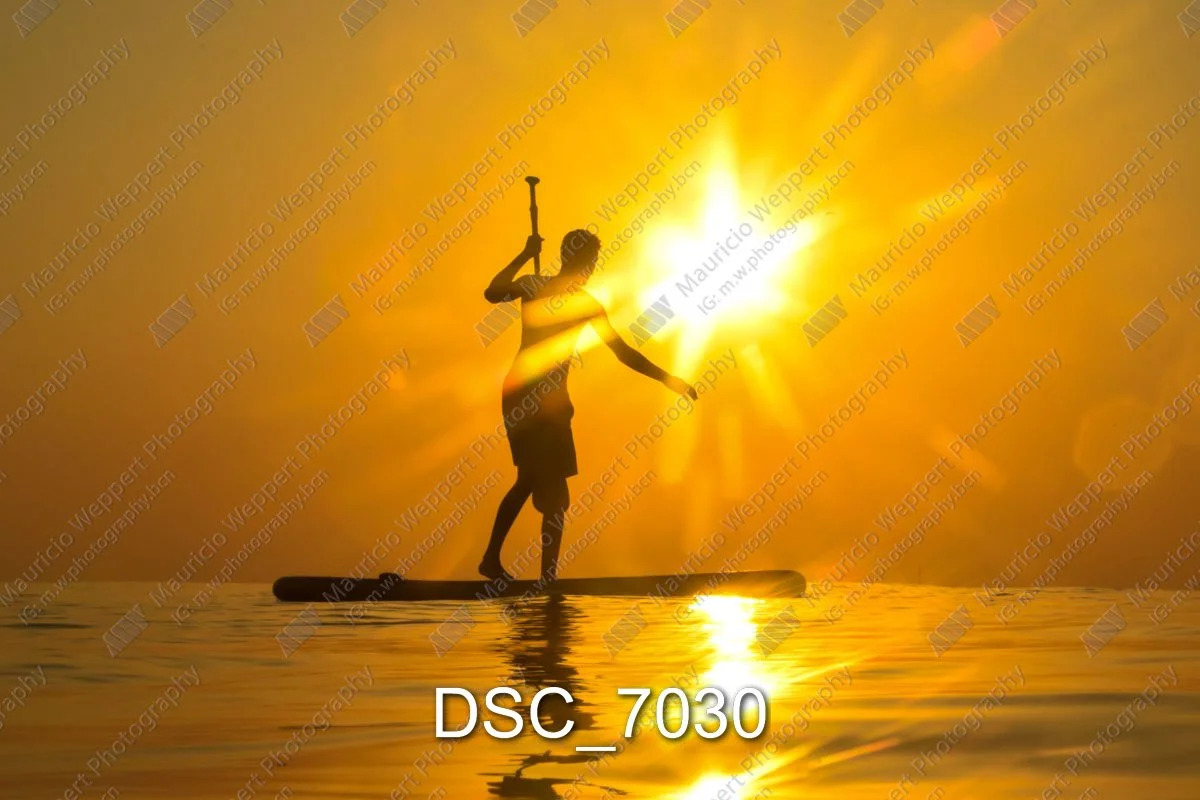 DSC_7030.jpg