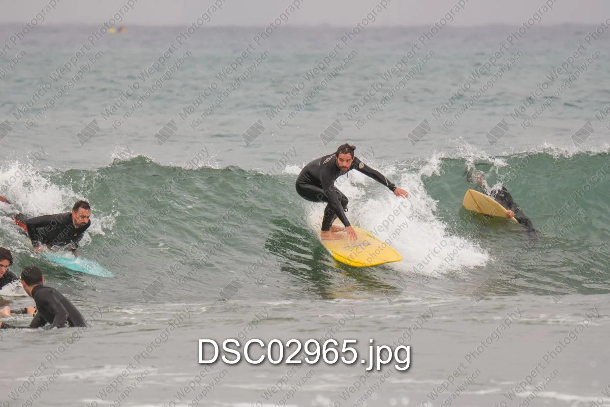 DSC02965.jpg