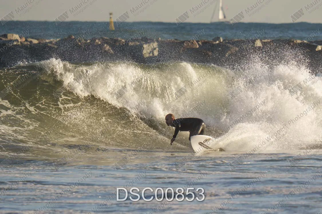 DSC00853.jpg