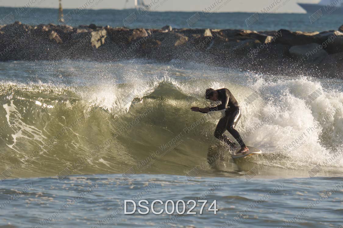 DSC00274.jpg