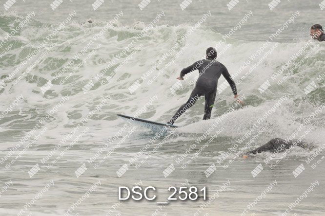 DSC_2581.jpg
