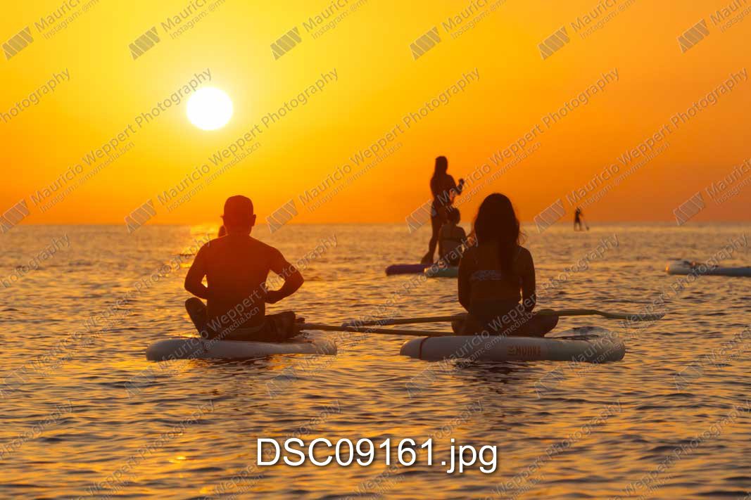 DSC09161.jpg