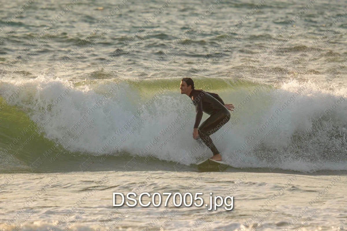 DSC07005.jpg