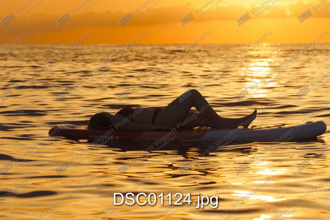 DSC01124.jpg