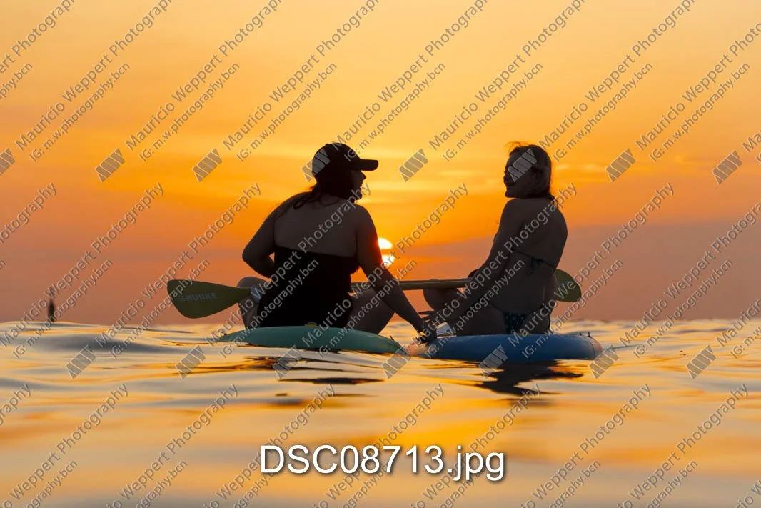 DSC08713.jpg