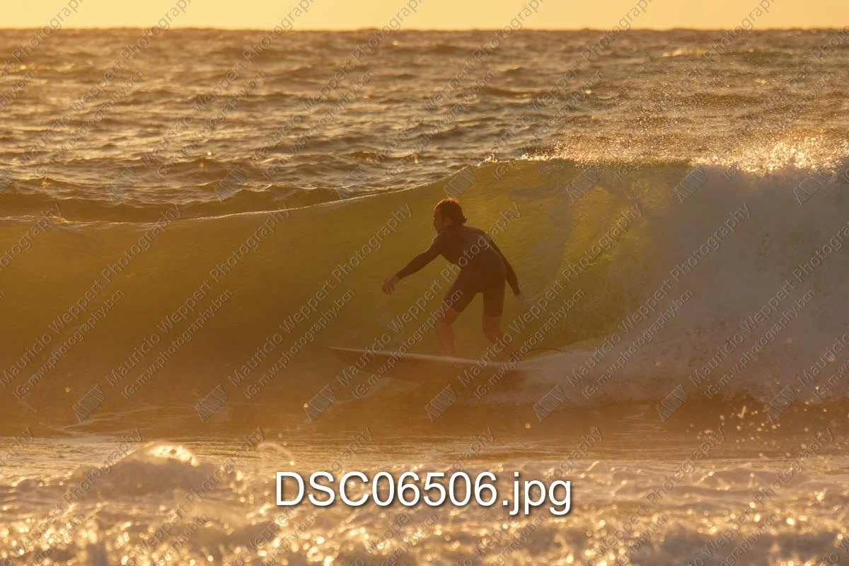 DSC06506.jpg