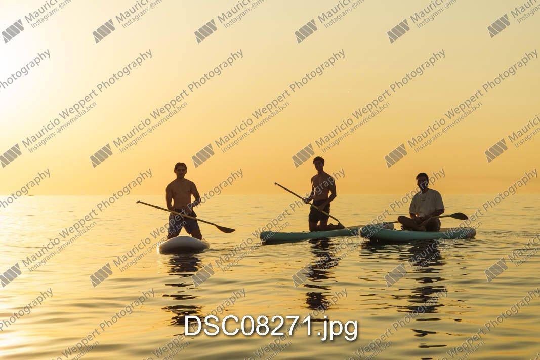 DSC08271.jpg