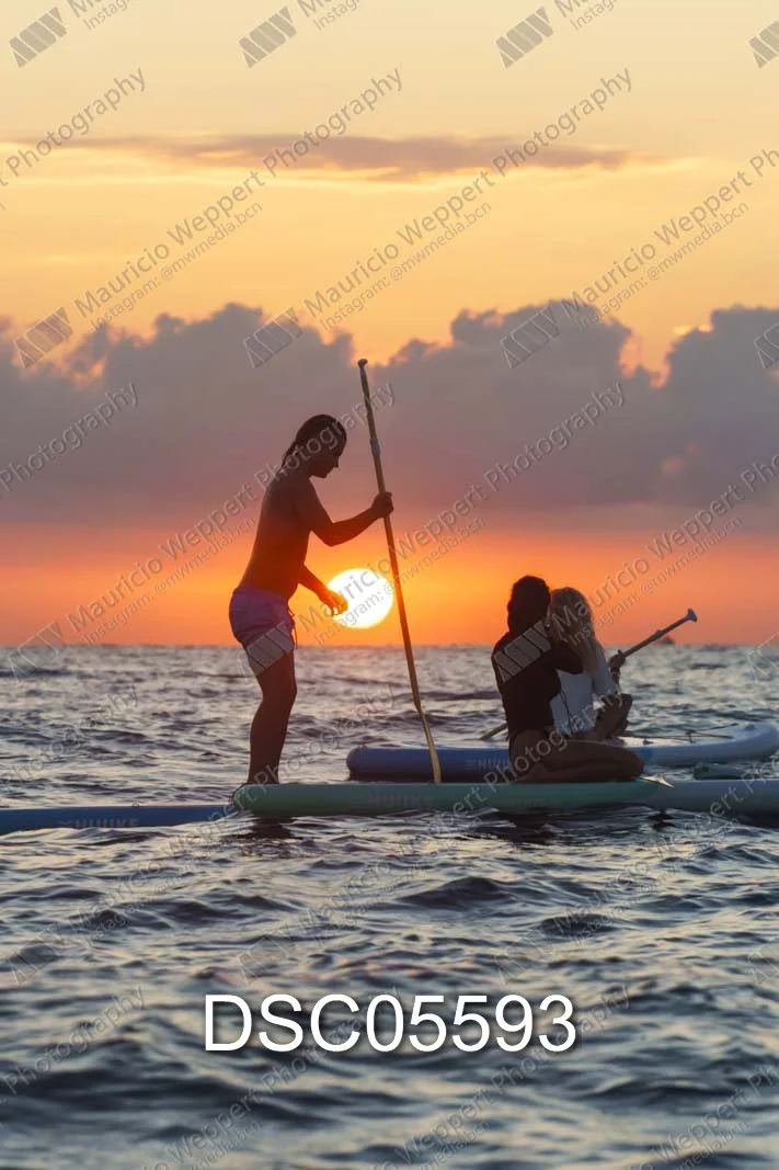 DSC05593.jpg