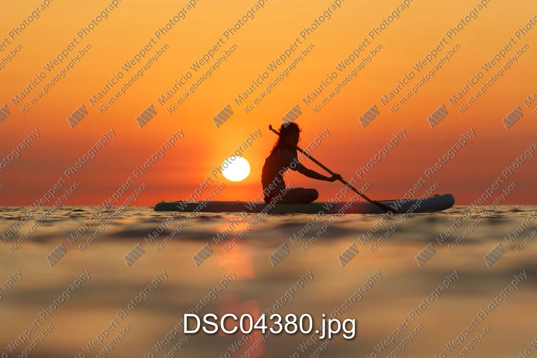 DSC04380.jpg
