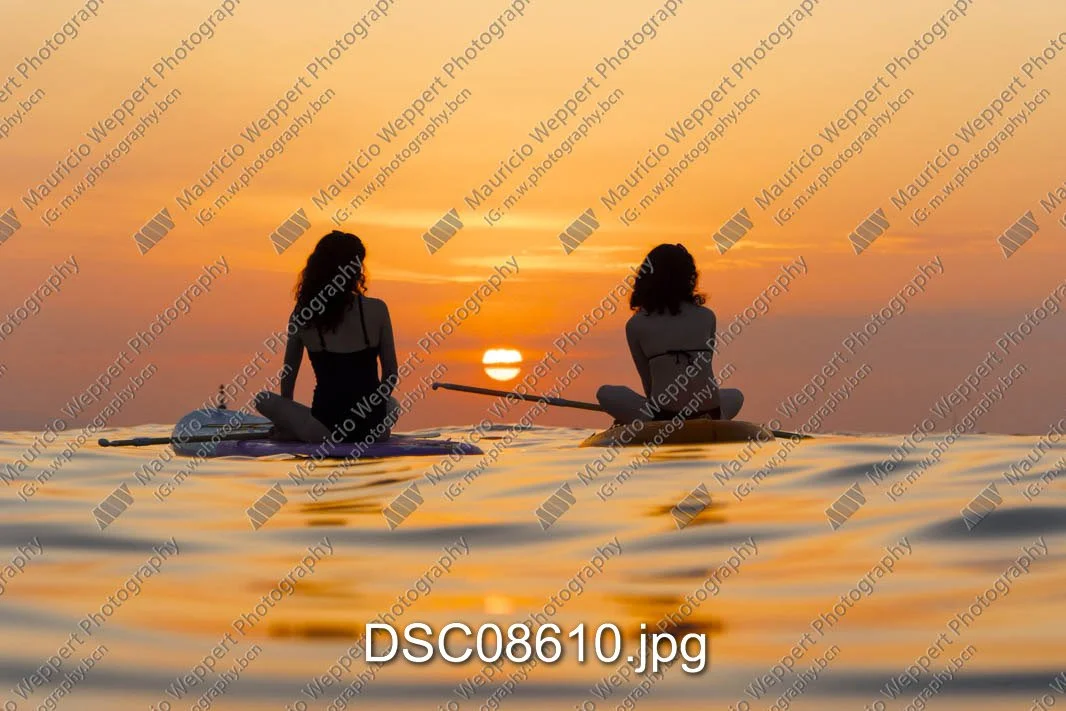 DSC08610.jpg