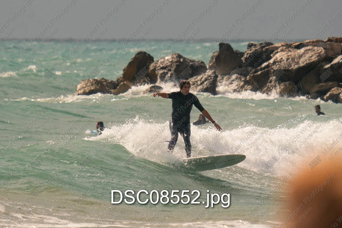 DSC08552.jpg