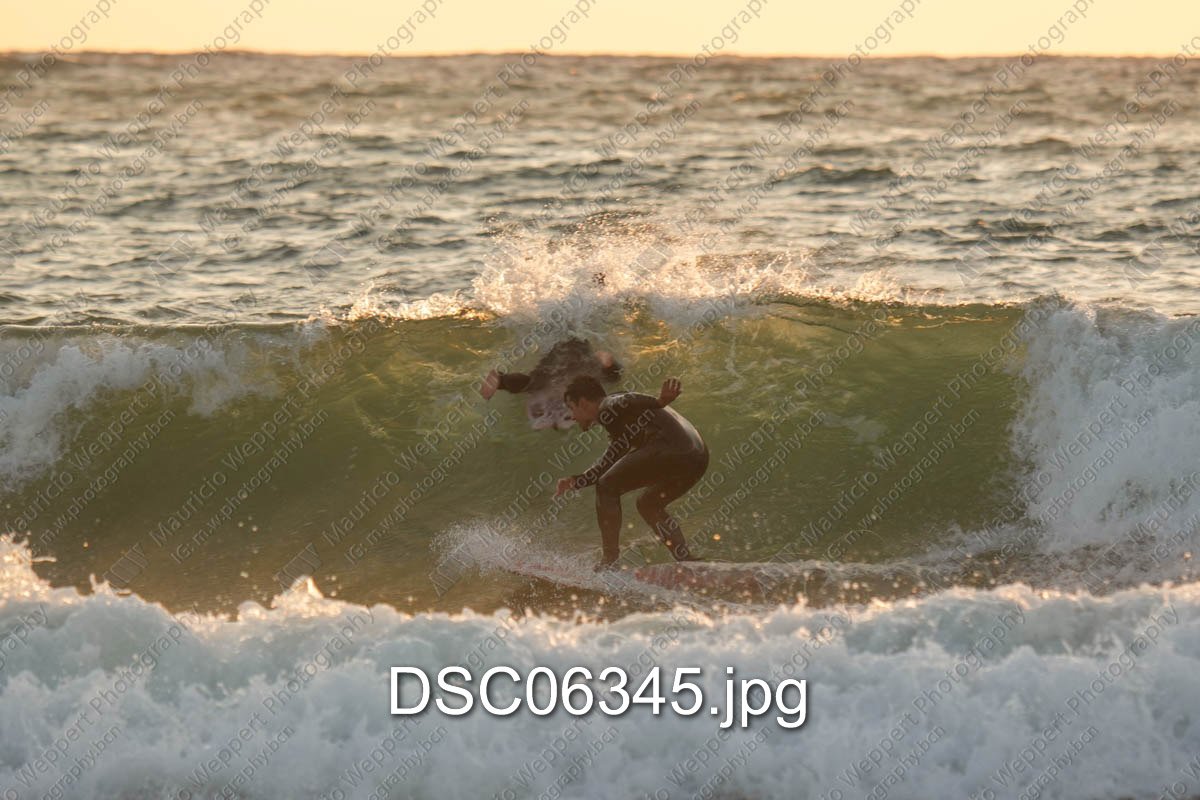 DSC06345.jpg