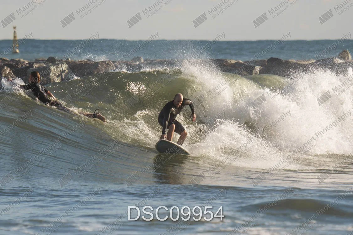 DSC09954.jpg