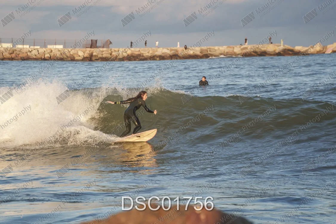 DSC01756.jpg