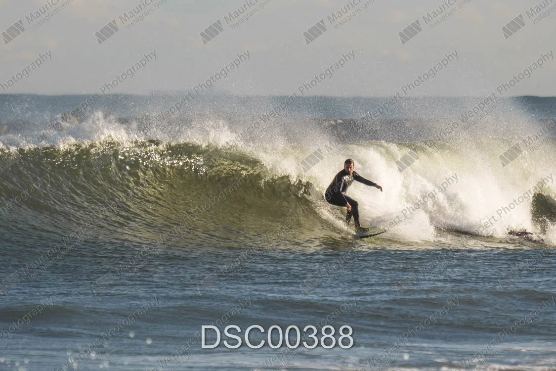 DSC00388.jpg