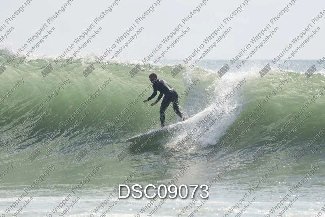 DSC09073.jpg