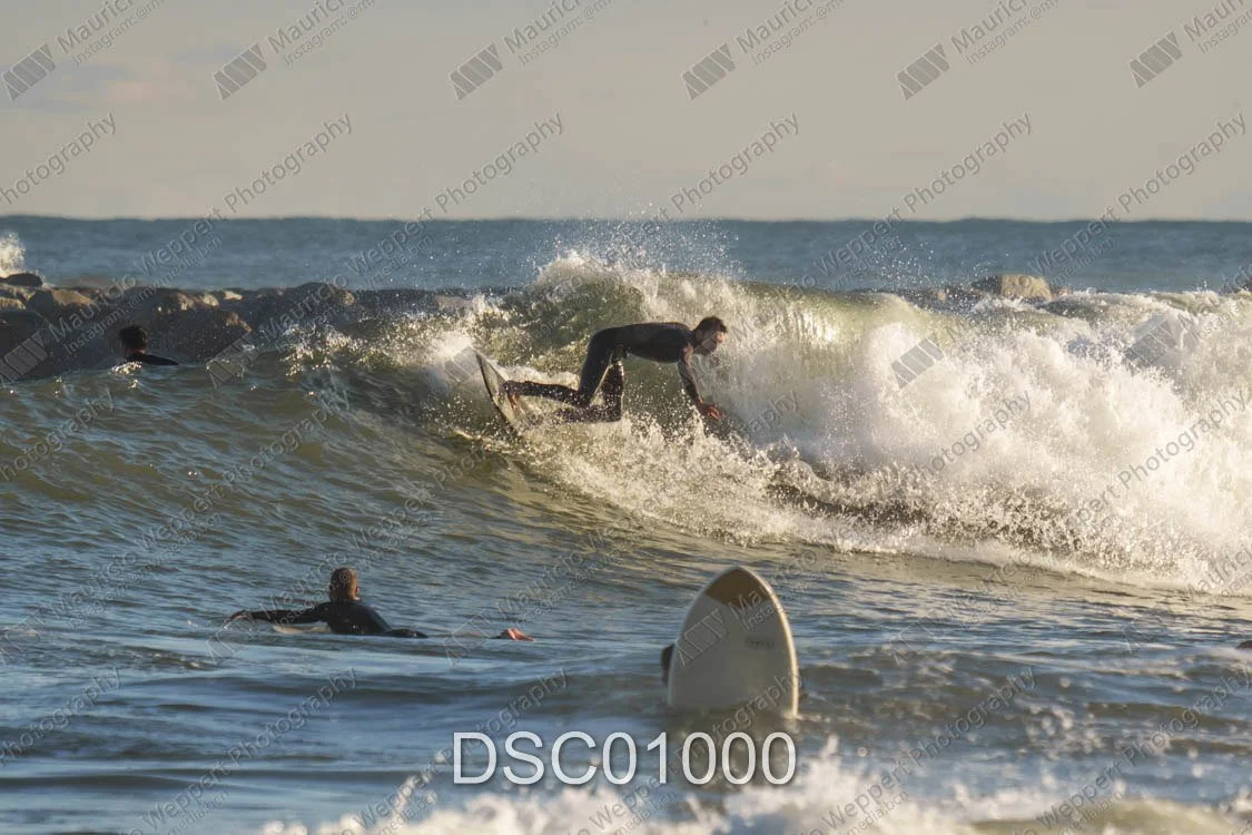 DSC01000.jpg