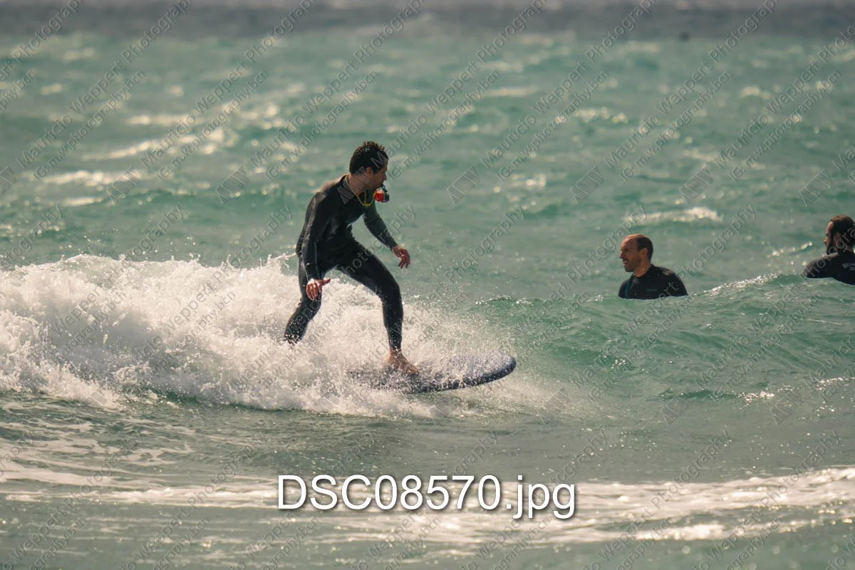 DSC08570.jpg