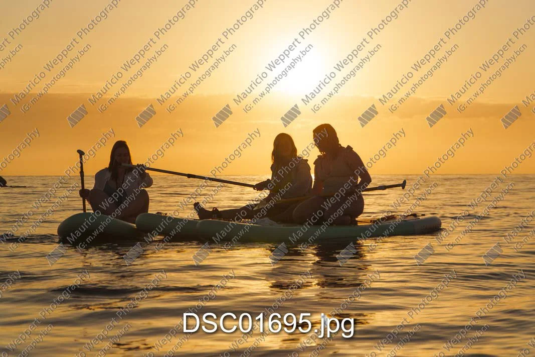 DSC01695.jpg