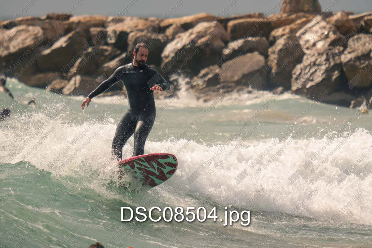 DSC08504.jpg