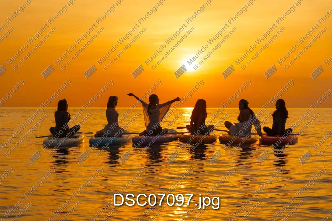 DSC07097.jpg