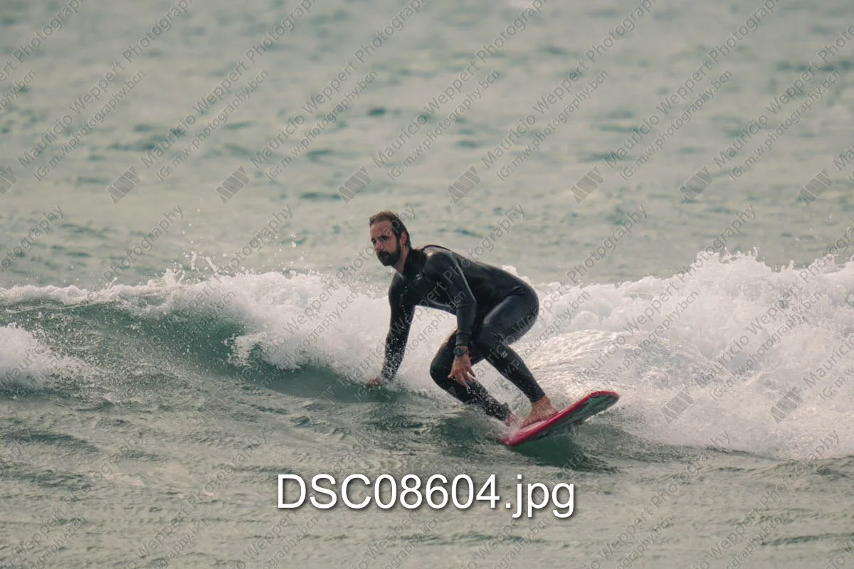 DSC08604.jpg