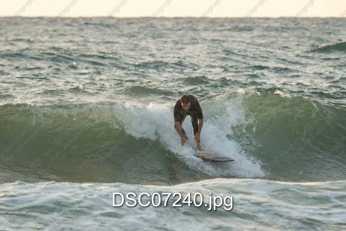 DSC07240.jpg