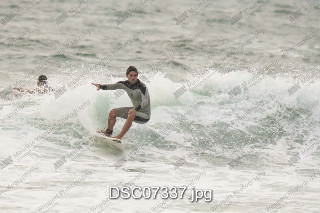 DSC07337.jpg