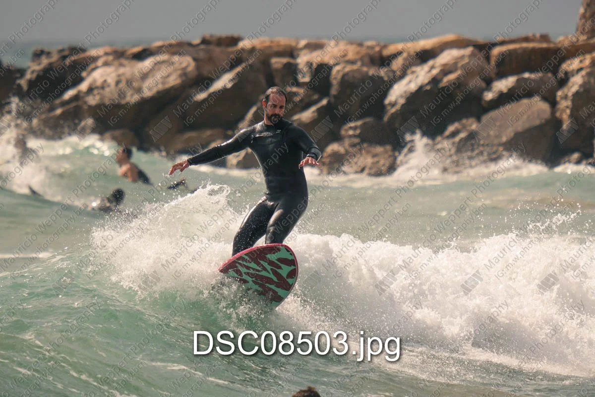 DSC08503.jpg