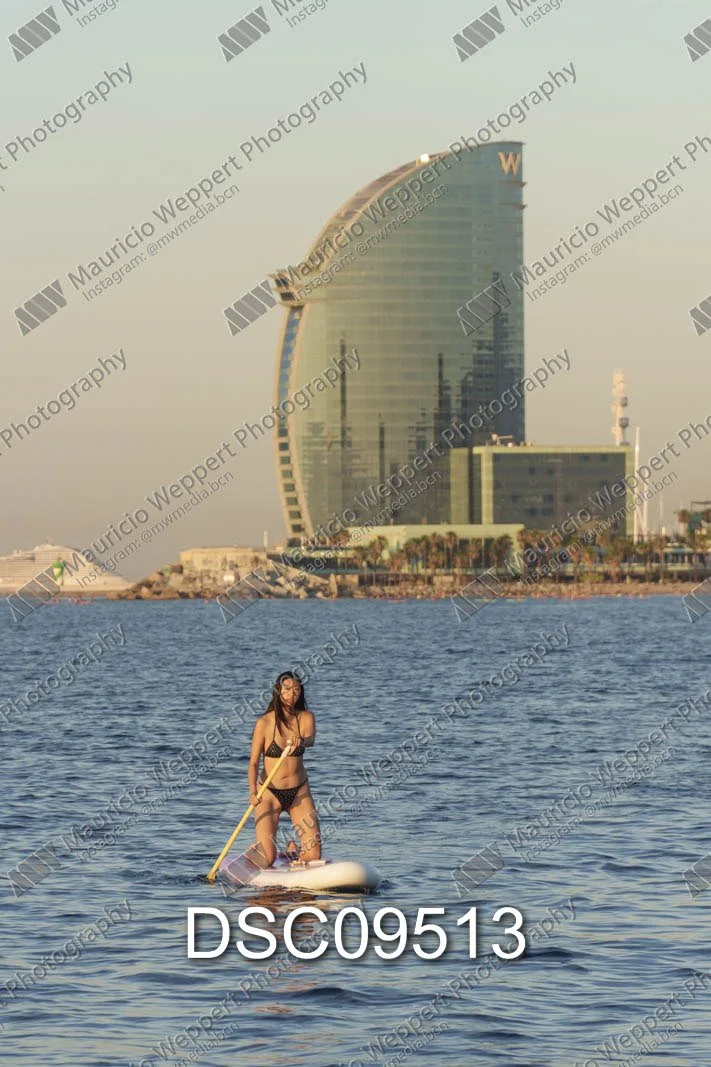 DSC09513.jpg