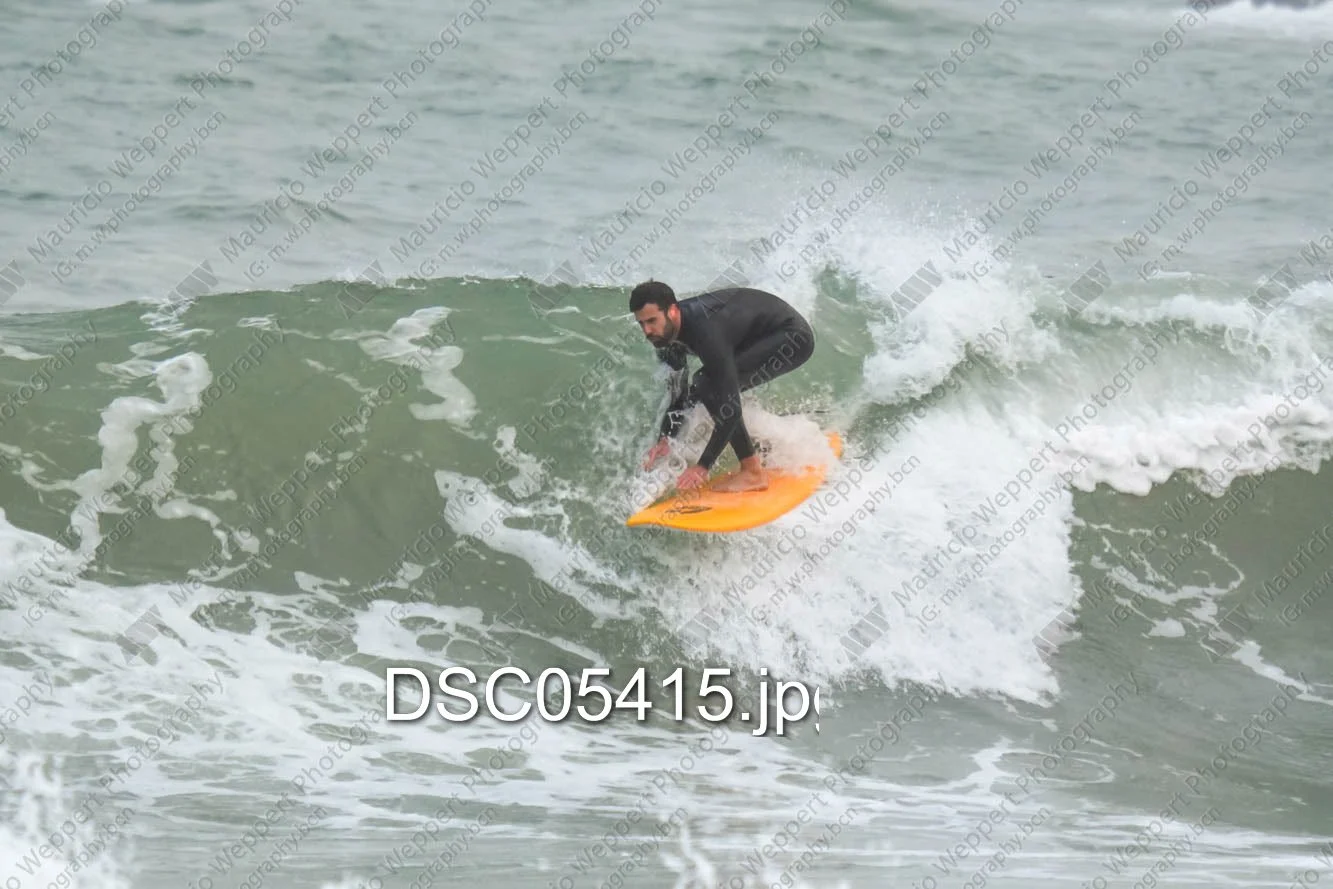 DSC05415.jpg
