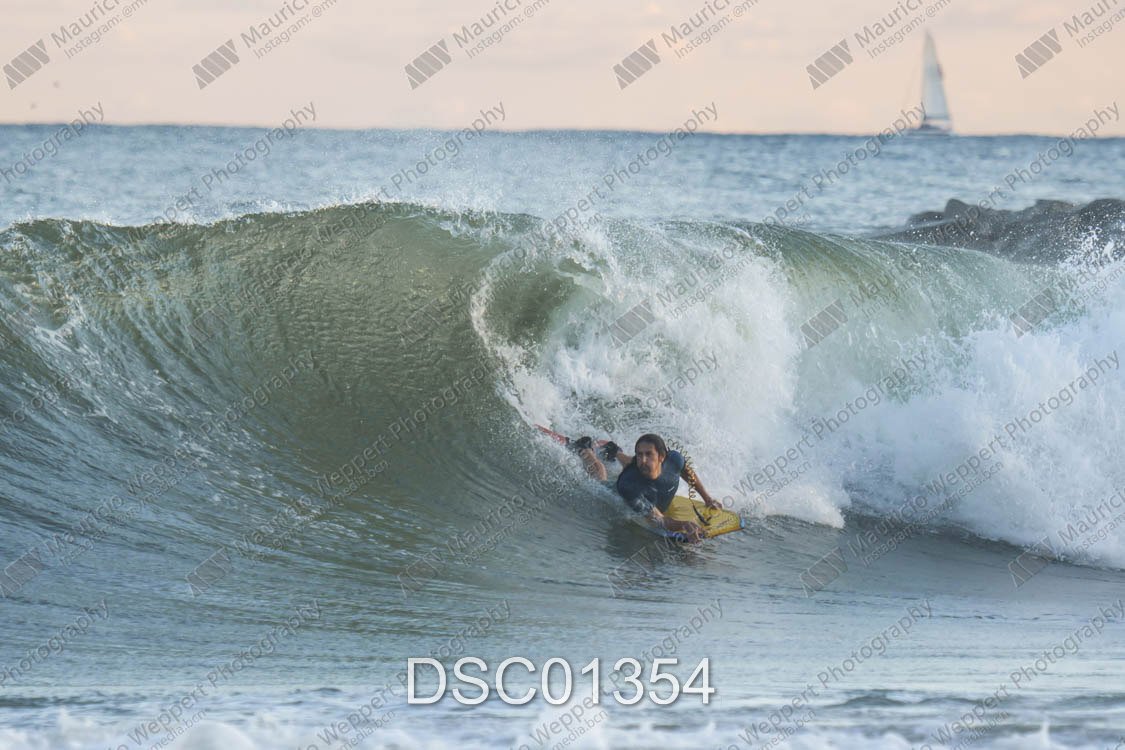 DSC01354.jpg