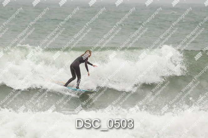 DSC_0503.jpg