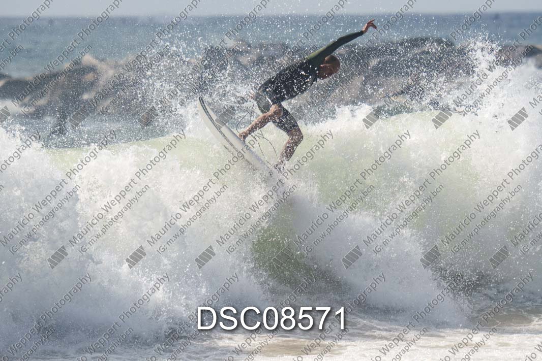 DSC08571.jpg