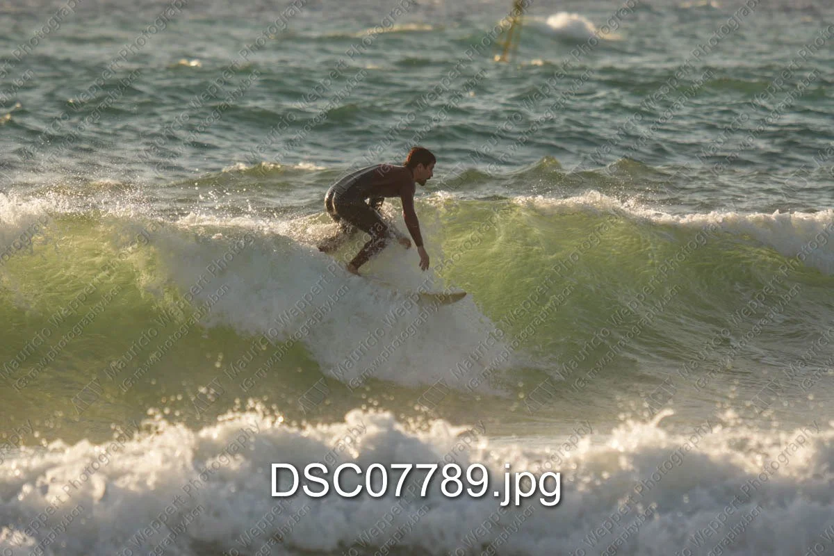 DSC07789.jpg