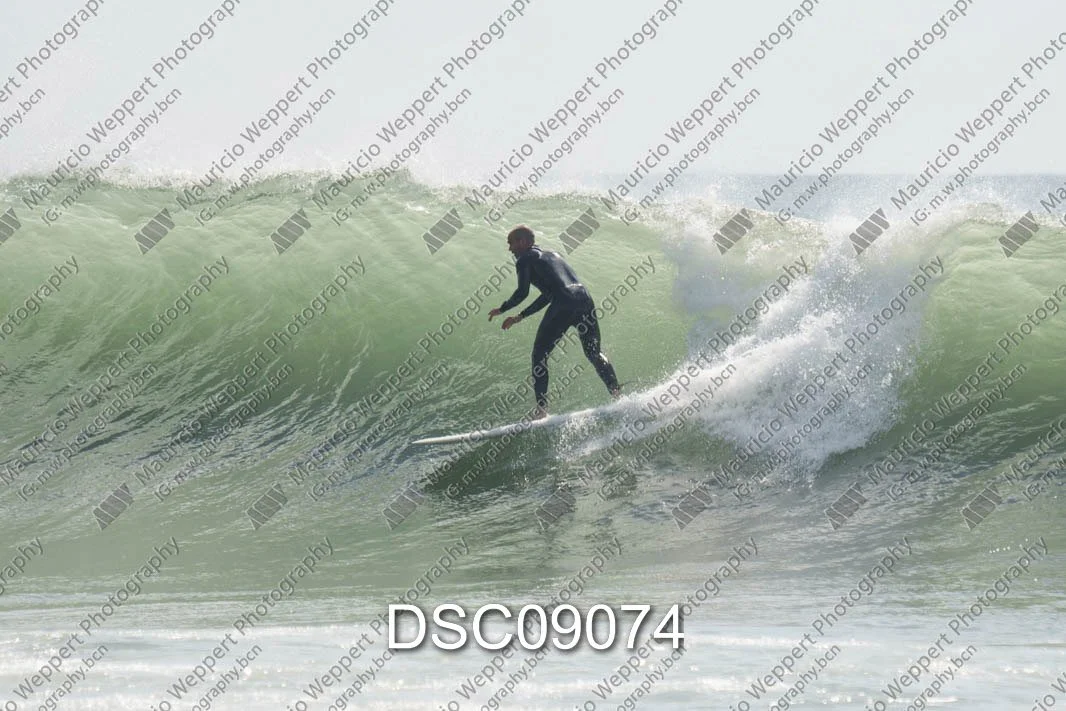 DSC09074.jpg