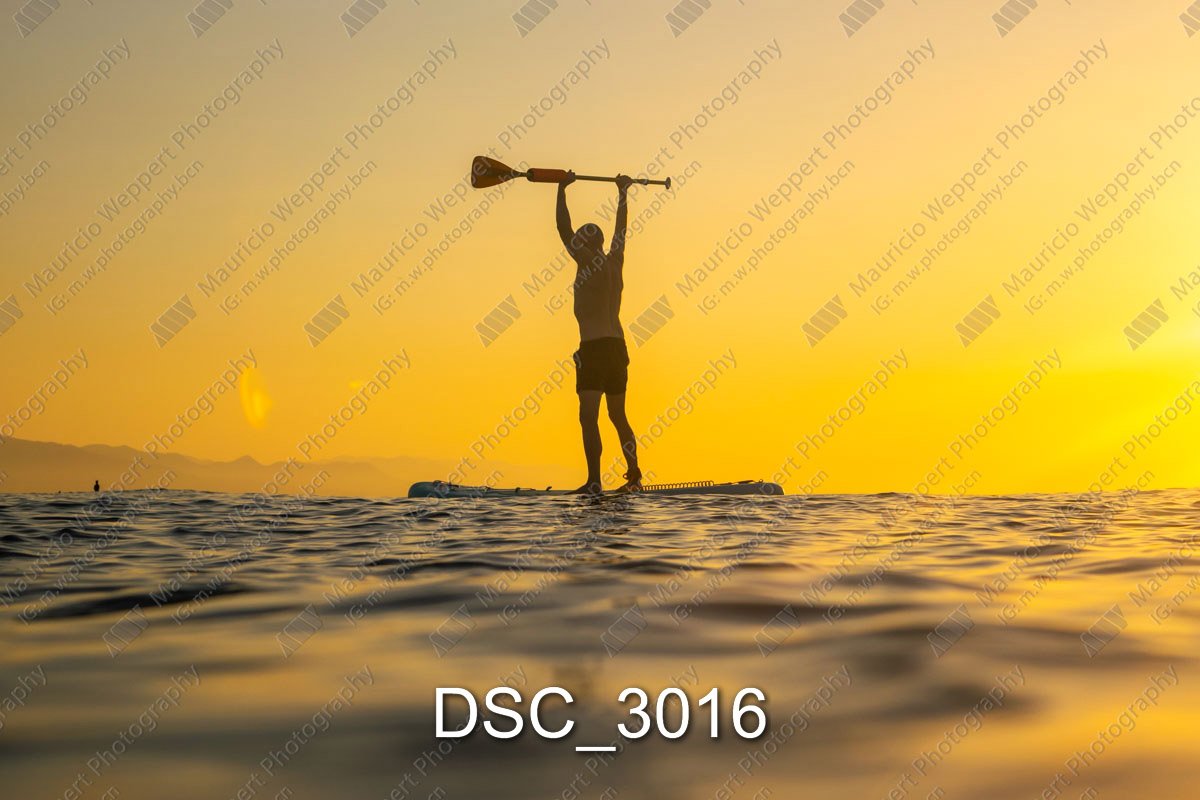 DSC_3016.jpg