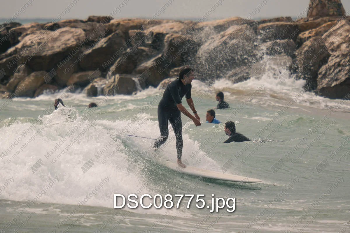 DSC08775.jpg