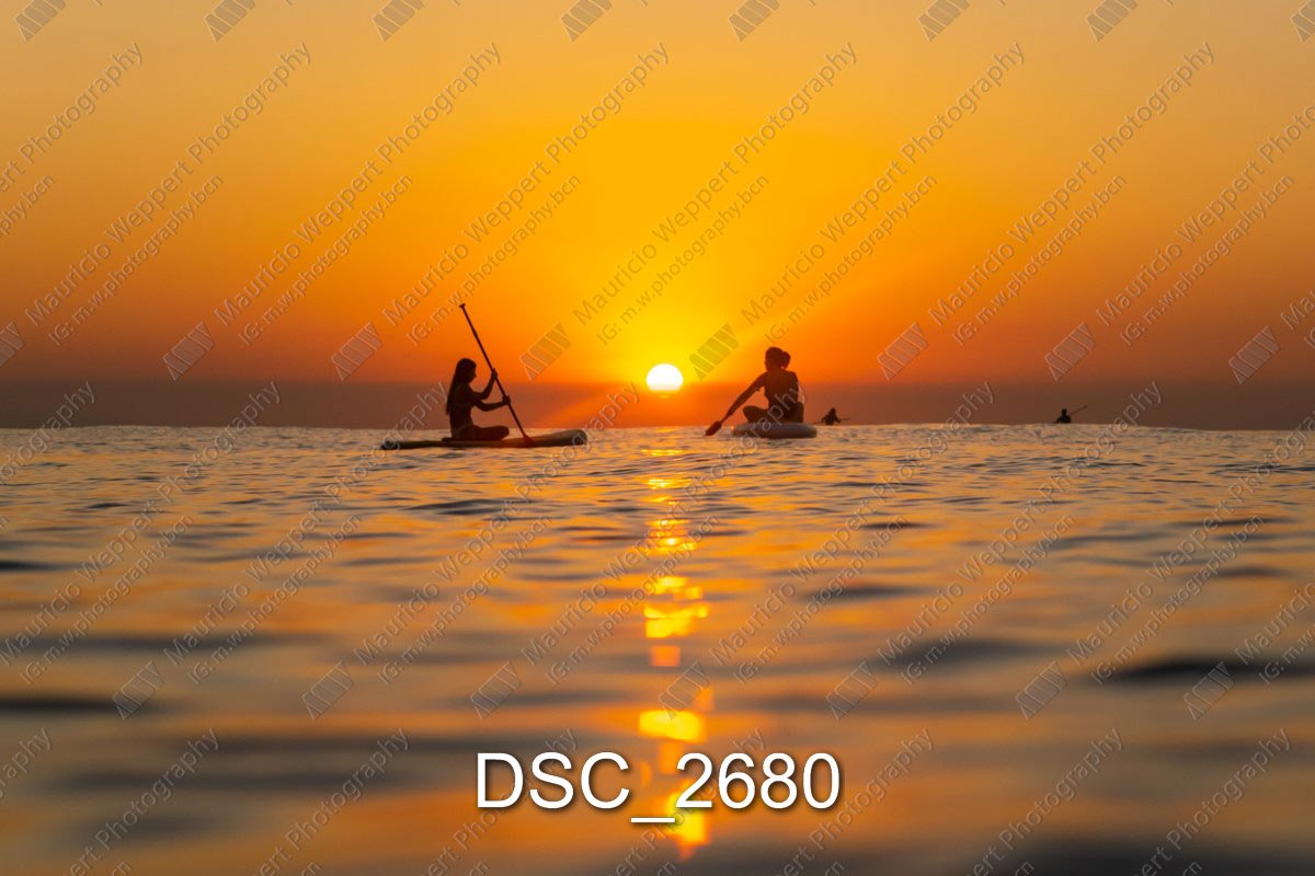 DSC_2680.jpg