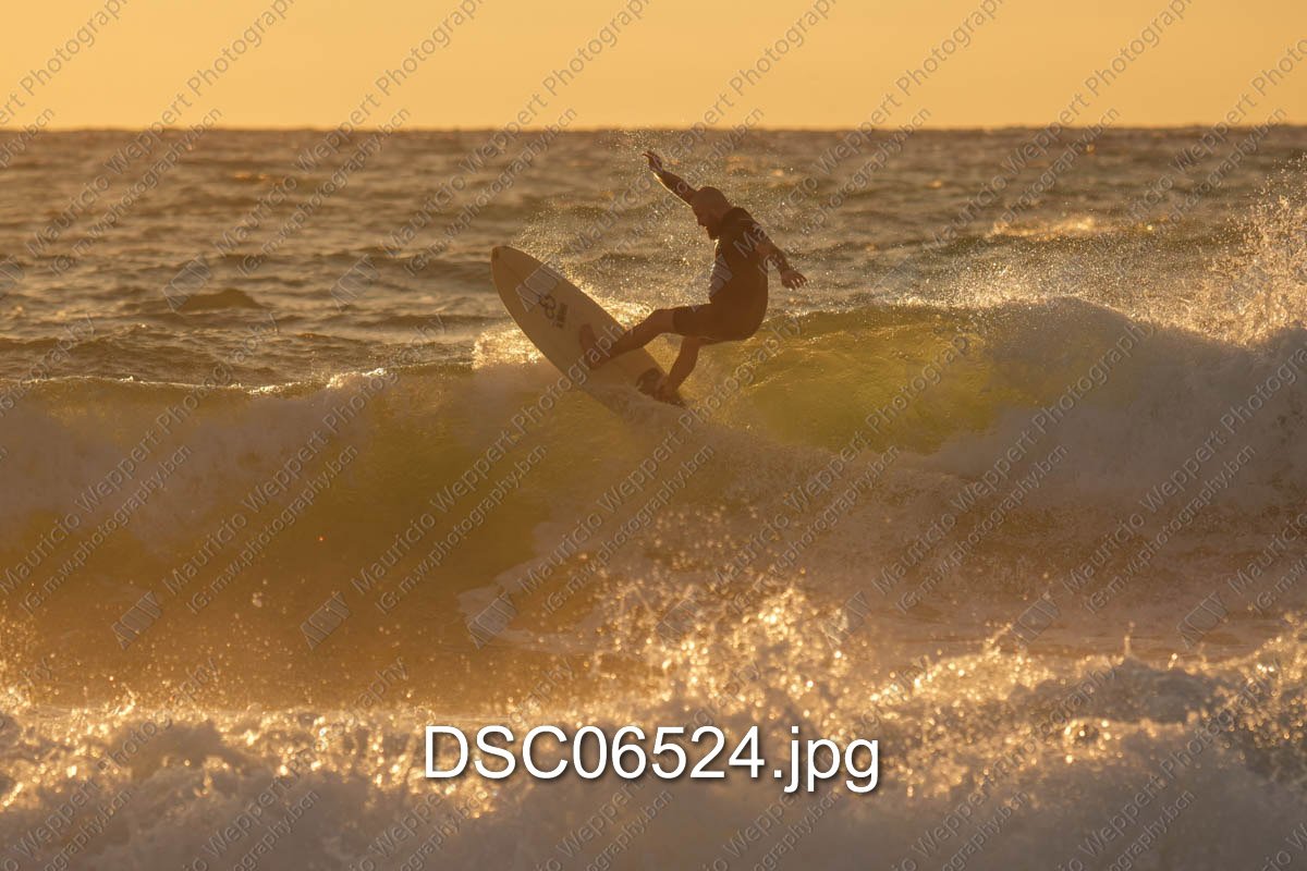 DSC06524.jpg