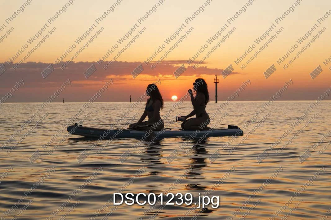 DSC01239.jpg