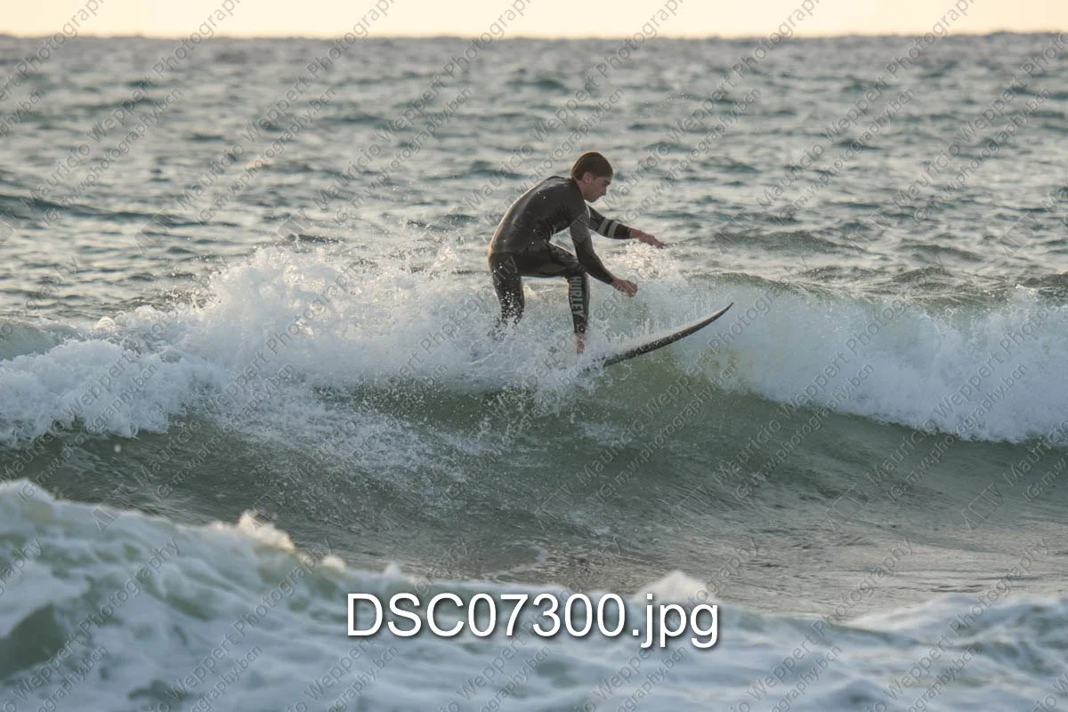DSC07300.jpg